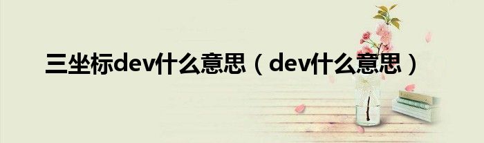 三坐标dev什么意思（dev什么意思）