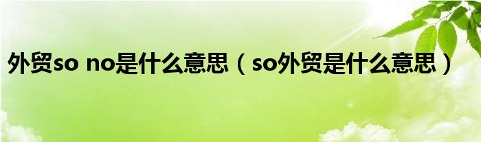 外贸so no是什么意思（so外贸是什么意思）