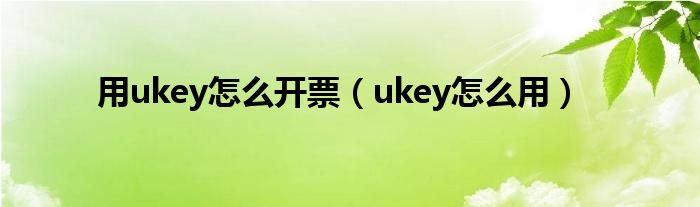 用ukey怎么开票（ukey怎么用）