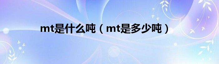 mt是什么吨（mt是多少吨）