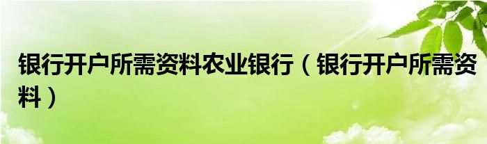 银行开户所需资料农业银行（银行开户所需资料）