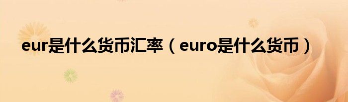 eur是什么货币汇率（euro是什么货币）