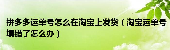 拼多多运单号怎么在淘宝上发货（淘宝运单号填错了怎么办）