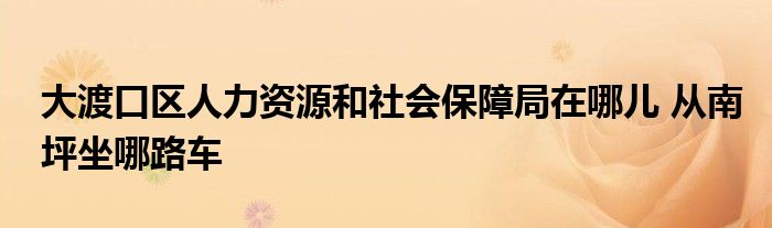 大渡口区人力资源和社会保障局在哪儿 从南坪坐哪路车