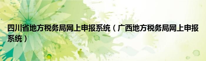 四川省地方税务局网上申报系统（广西地方税务局网上申报系统）