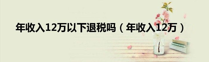 年收入12万以下退税吗（年收入12万）