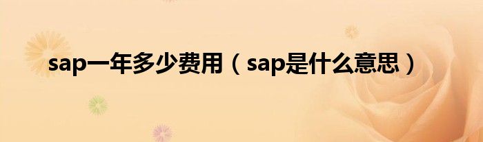 sap一年多少费用（sap是什么意思）