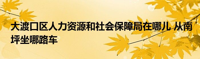 大渡口区人力资源和社会保障局在哪儿 从南坪坐哪路车