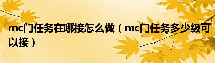 mc门任务在哪接怎么做（mc门任务多少级可以接）