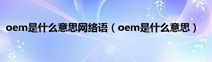 oem是什么意思网络语（oem是什么意思）