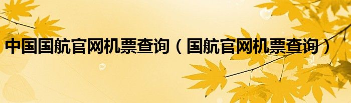 中国国航官网机票查询（国航官网机票查询）