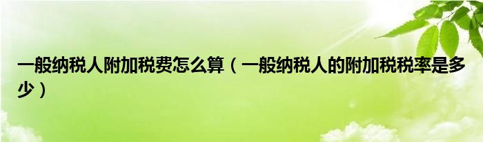 一般纳税人附加税费怎么算（一般纳税人的附加税税率是多少）