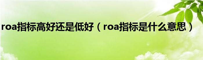 roa指标高好还是低好（roa指标是什么意思）