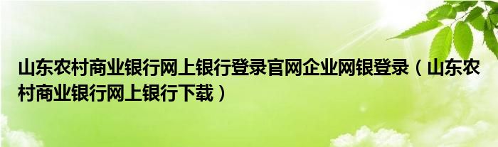 山东农村商业银行网上银行登录官网企业网银登录（山东农村商业银行网上银行下载）