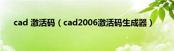 cad 激活码（cad2006激活码生成器）