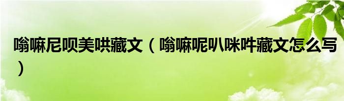 嗡嘛尼呗美哄藏文（嗡嘛呢叭咪吽藏文怎么写）