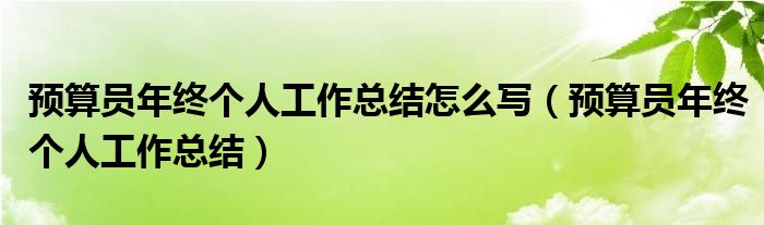 预算员年终个人工作总结怎么写（预算员年终个人工作总结）