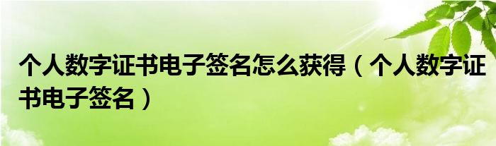 个人数字证书电子签名怎么获得（个人数字证书电子签名）