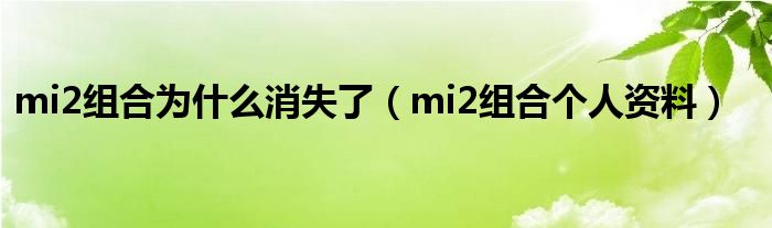 mi2组合为什么消失了（mi2组合个人资料）