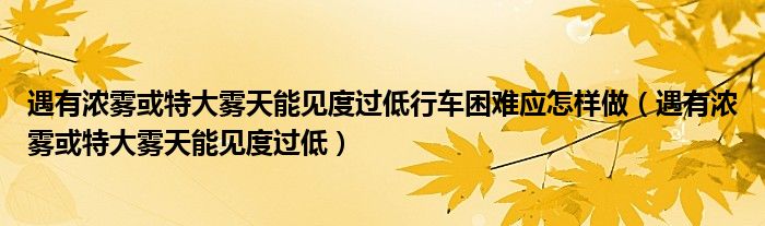 遇有浓雾或特大雾天能见度过低行车困难应怎样做（遇有浓雾或特大雾天能见度过低）