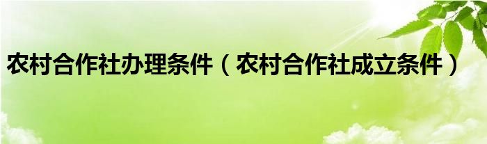 农村合作社办理条件（农村合作社成立条件）