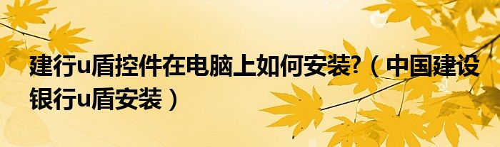 建行u盾控件在电脑上如何安装?（中国建设银行u盾安装）