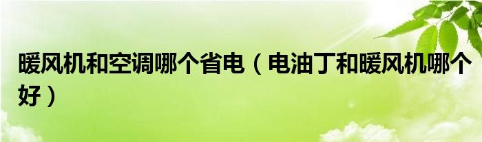 暖风机和空调哪个省电（电油丁和暖风机哪个好）