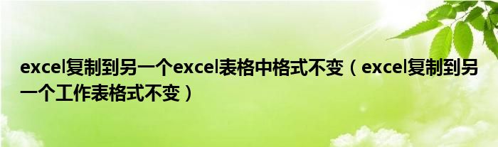 excel复制到另一个excel表格中格式不变（excel复制到另一个工作表格式不变）