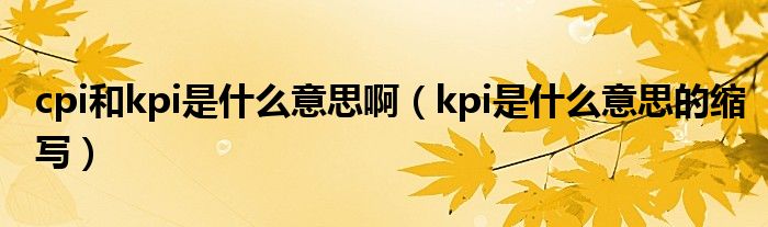 cpi和kpi是什么意思啊（kpi是什么意思的缩写）