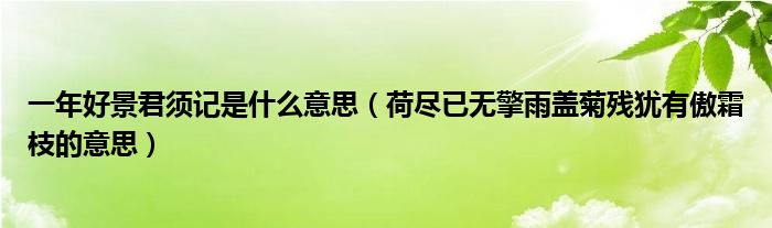 一年好景君须记是什么意思（荷尽已无擎雨盖菊残犹有傲霜枝的意思）