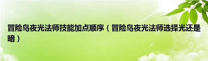 冒险岛夜光法师技能加点顺序（冒险岛夜光法师选择光还是暗）