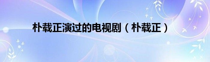 朴载正演过的电视剧（朴载正）