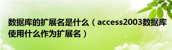 数据库的扩展名是什么（access2003数据库使用什么作为扩展名）