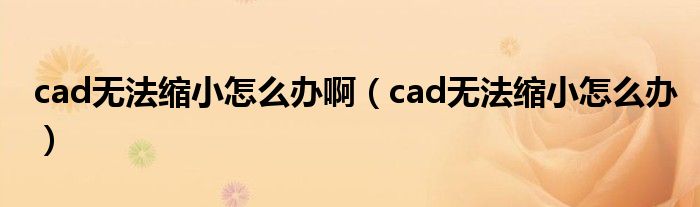 cad无法缩小怎么办啊（cad无法缩小怎么办）