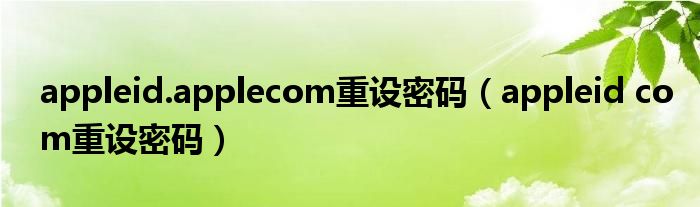 appleid.applecom重设密码（appleid com重设密码）