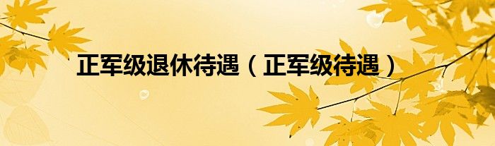 正军级退休待遇（正军级待遇）