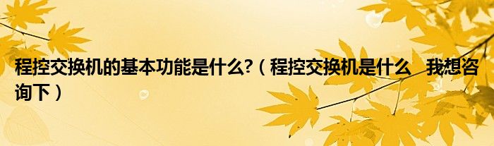 程控交换机的基本功能是什么?（程控交换机是什么   我想咨询下）