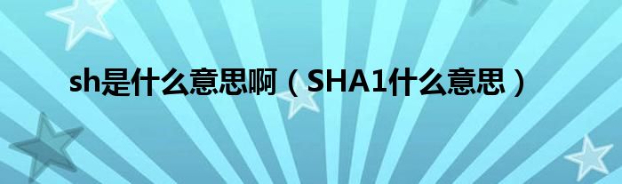 sh是什么意思啊（SHA1什么意思）