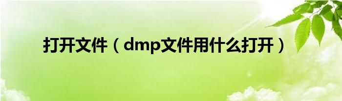 打开文件（dmp文件用什么打开）