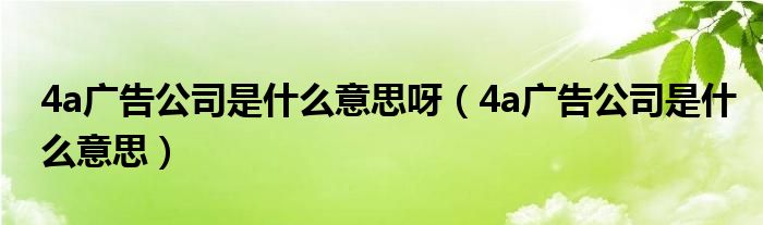 4a广告公司是什么意思呀（4a广告公司是什么意思）