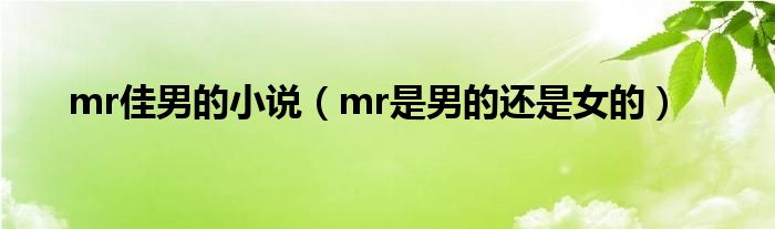 mr佳男的小说（mr是男的还是女的）