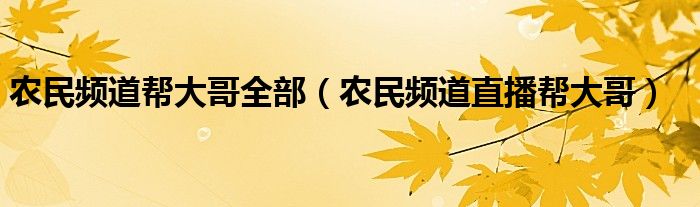 农民频道帮大哥全部（农民频道直播帮大哥）