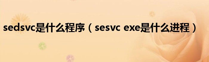 sedsvc是什么程序（sesvc exe是什么进程）