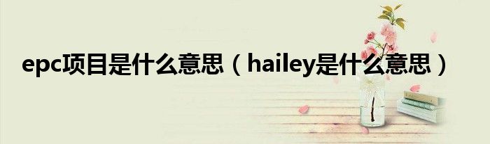 epc项目是什么意思（hailey是什么意思）