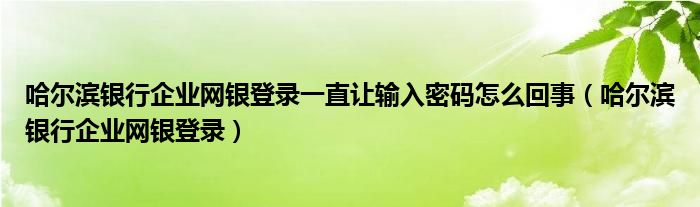 哈尔滨银行企业网银登录一直让输入密码怎么回事（哈尔滨银行企业网银登录）