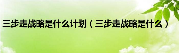 三步走战略是什么计划（三步走战略是什么）