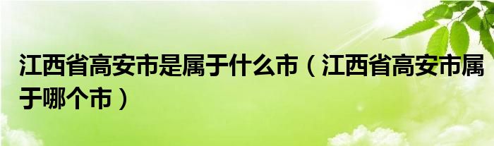 江西省高安市是属于什么市（江西省高安市属于哪个市）