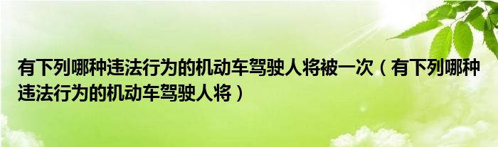 有下列哪种违法行为的机动车驾驶人将被一次（有下列哪种违法行为的机动车驾驶人将）