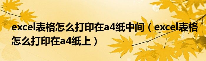 excel表格怎么打印在a4纸中间（excel表格怎么打印在a4纸上）