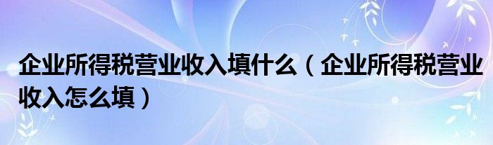 企业所得税营业收入填什么（企业所得税营业收入怎么填）